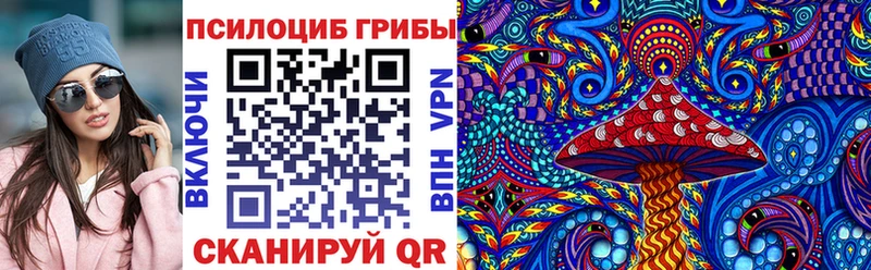 Галлюциногенные грибы прущие грибы  Нестеров 
